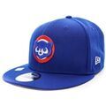 Casquettes sur Grenoble : Casquette New-Era Chicub