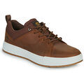 Baskets basses Timberland MAPLE GROVE LTHR OX Marron