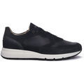Baskets homme sur Grenoble : Baskets NeroGiardini NERO GIARDINI 207 COLORADO INCANTO