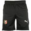 Short Puma Stade Rennais 2024/25