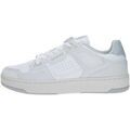 Baskets Guess -