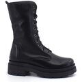 Bottes femme sur Grenoble : Bottines Divine Follie DF631N