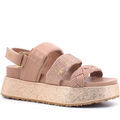 Baskets femme sur Grenoble : Baskets Liu Jo SA3023EX146NU