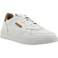 Baskets homme sur Grenoble : Baskets Alviero Martini ZU102-535BW