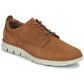 Baskets basses Timberland BRADSTREET