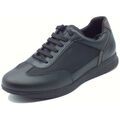 Ville basse Geox U55H5C Avery