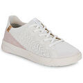 Baskets femme sur Grenoble : Baskets basses Saola CANNON KNIT 3