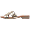 Mules Sandra Fontan CITRIC Dor&eacute;