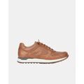 Baskets basses Kangaroos 846 13