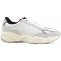 Baskets homme sur Grenoble : Baskets Colmar 028-PE25
