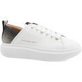 Baskets Alexander Smith ASBBWYW-0507-WDV-PE25 Grenoble