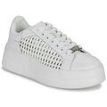 Baskets basses Dorking SWIFT