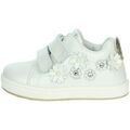 Baskets basses enfant Balducci CITA6766