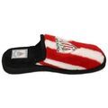 Chaussons Andinas - Grenoble