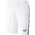 Short Puma Love