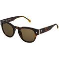 Lunettes sur Grenoble : Lunettes de soleil Lozza SL4263 AGRIGENTE 2 Lunettes de soleil, Havana/Marron, 49 mm