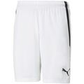 Short Puma Teamliga
