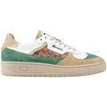 Baskets homme sur Grenoble : Baskets Morrison COCONUT