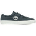 Baskets homme sur Grenoble : Baskets Timberland Mylo Bay Low Lace Sneaker