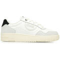 Baskets Colmar Austin Look