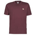 Tee-shirts sur Grenoble : T-shirt Dickies MAPLETON