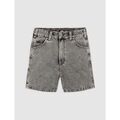 Short sur Grenoble : Short Dickies DENIM SHORT W - DK0A4Y88J811-GRAY WASH