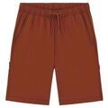 Short Dickies WILSALL CARPENTER - DK0A4Z7X-K471 CAPPUCCINO