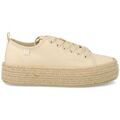 Baskets femme sur Grenoble : Baskets Pitas -