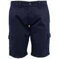 Short Billtornade - Bermuda cargo - marine