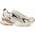 Baskets femme sur Grenoble : Baskets Steve Madden SMPSPEEDSTER-E-SG3-PE25