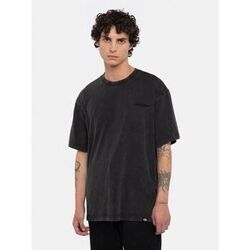 T-shirt Dickies PLENTYWOOD TEE - DK0A866BH861-ACID BLACK