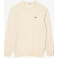 Pulls/Sweat sur Grenoble : Pull Lacoste AH8566