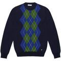 Pulls/Sweat sur Grenoble : Pull Manuel Ritz 3732M532_243856