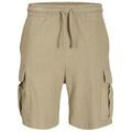 Shorts/Bermuda sur Grenoble : Short Jack & Jones Gordon