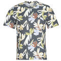 Tee-shirts sur Grenoble : T-shirt Jack & Jones JORVARENNA
