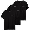 T-shirt Teddy Smith Cascade