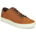 Baskets homme sur Grenoble : Baskets basses Timberland ADV 2.0 CUPSOLE MODERN OX Marron