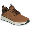 Baskets basses Skechers CROWDER Marron
