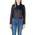 Veste Blauer ZAMORA 25SBLDC01279 Veste Blauer ZAMORA 25SBLDC01279 Grenoble