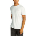 Polo Tommy Hilfiger TJM REG GRAPHIC DM0DM21303