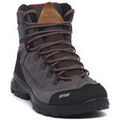 Randonn&eacute;e sur Grenoble : Chaussures Lytos 079 GAEBRIS EVO Gris