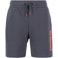 Short Alpha Industries Alpha Puff Print Short - vintage grey Grenoble