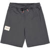 Short Alpha Industries Studio Edition Shorts - vintage grey