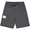 Short Alpha Industries Studio Edition Shorts - vintage grey