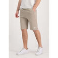 Shorts/Bermuda sur Grenoble : Short Alpha Industries Basic Short SL - vintage sand