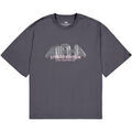 Tee-shirts sur Grenoble : T-shirt Alpha Industries Studio Edition Vibe T-Shirt - vintage grey