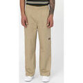 Pantalon Dickies Mount vista pant Grenoble