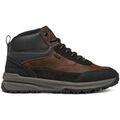 Baskets Geox U46H0A0FF22C6024