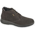 Baskets Valleverde VL53900-MARRONE Grenoble