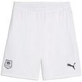 Short Puma 775255-02